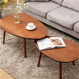 Set of 2 Coffee Table Nesting Table